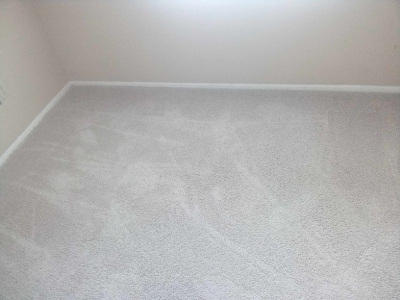 4 bed/2 bath Room in Tampa, FL