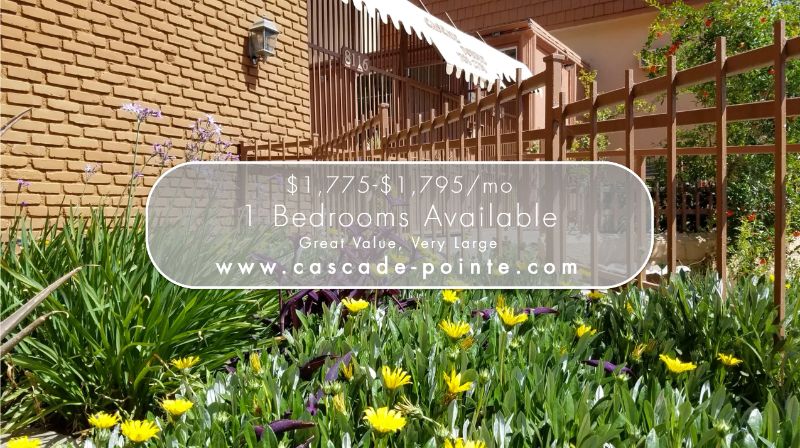 1 bed/1 bath Apartment in Van Nuys, CA